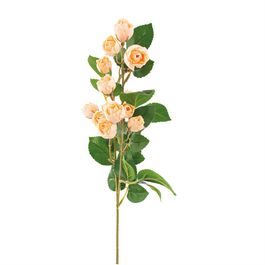 BUQUÊ DE ROSAS X15 70 CM - SALMÃO