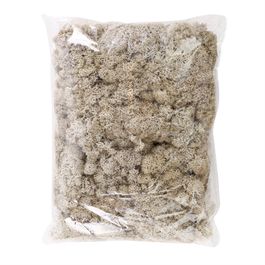Musgo Decorativo 250g - Natural (Musgo Preservado)