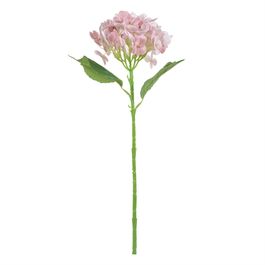 Haste Hortênsia 46cm - Rosa Velho