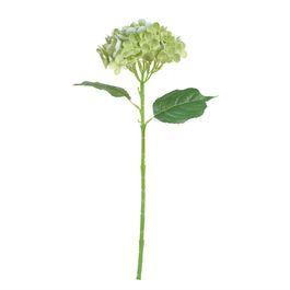 Haste Hortênsia 46cm - Creme Outono