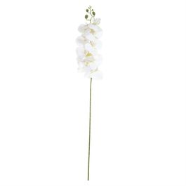 Haste Orquídea X9 98cm - Branco