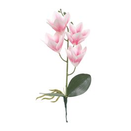 Haste Orquídea Cymbidium C/Folhas X4 36cm - Branco / Rosa