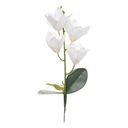 Haste Orquídea Cymbidium C/Folhas X4 36cm - Branco