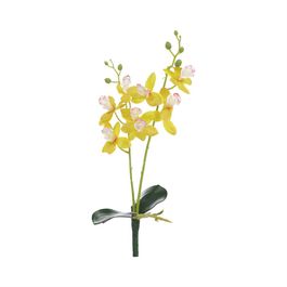 Haste Orquídea Cymbidium C/Folhas X8 39cm - Amarelo