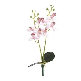 Haste Orquídea Cymbidium C/Folhas X8 39cm - Branco / Rosa
