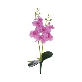 Haste Orquídea Phalaenopsis C/Folhas X8 39cm - Fucsia