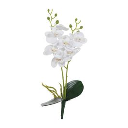 Haste Orquídea Phalaenopsis C/Folhas X8 39cm - Branco