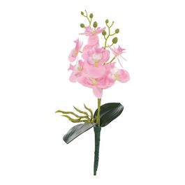 Haste Orquídea Phalaenopsis C/Folhas X8 39cm - Rosa Claro