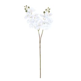 Haste Orquídea Phalaenopsis X8 63cm - Branco