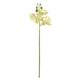 Haste Orquídea Phalaenopsis X3 47cm - Amarelo