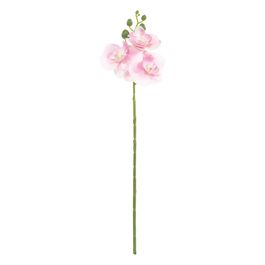 Haste Orquídea Phalaenopsis X3 47cm - Branco / Rosa