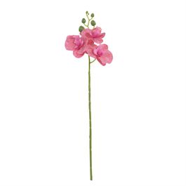 Haste Orquídea Phalaenopsis X3 47cm - Pink