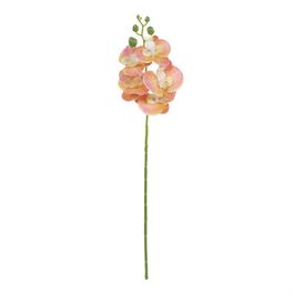 Haste Orquídea Phalaenopsis X5 50cm - Laranja