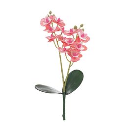 Haste Orquídea Phalaenopsis C/Folhas X12 33cm - Pink
