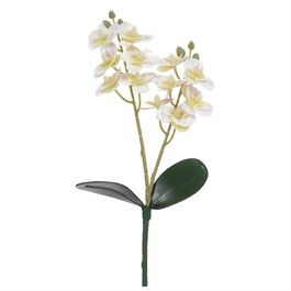 Haste Orquídea Phalaenopsis C/Folhas X12 33cm - Branco