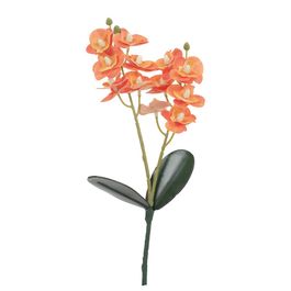 Haste Orquídea Phalaenopsis C/Folhas X12 33cm - Laranja