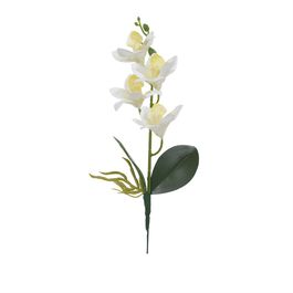 Haste Orquídea Cymbidium C/Folhas X4 36cm - Branco / Amarelo