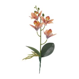 Haste Orquídea Cymbidium C/Folhas X4 36cm - Ocre