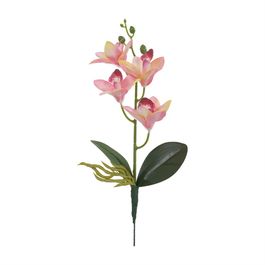 Haste Orquídea Cymbidium C/Folhas X4 36cm - Rosa