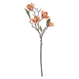 Haste Orquídea Cymbidium C/Folhas X4 48cm - Ocre