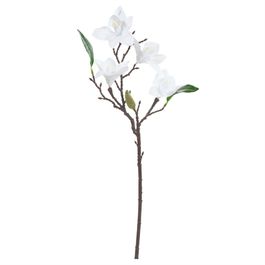 Haste Orquídea Cymbidium C/Folhas X4 48cm - Branco