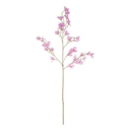 Haste Buganvilia X30 102cm - Rosa