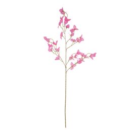Haste Buganvilia X30 102cm - Fucsia