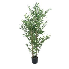 Bambu Toque Real X 130cm - Verde