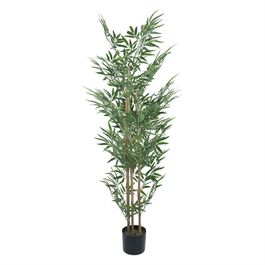 Bambu Toque Real X 150cm - Verde