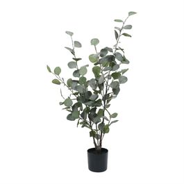 Eucalipto Toque Real X126 70cm - Verde