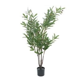 Oliveira Toque Real X448 120cm - Verde