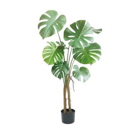 Monstera Toque Real X7 120cm - Verde