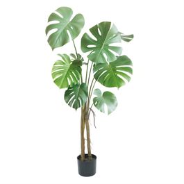 Monstera Toque Real X8 130cm - Verde