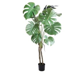 Monstera Toque Real X8 160cm - Verde