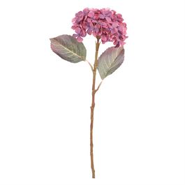 Haste Hortênsia 50cm - Marsala