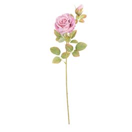 Haste Rosaa X2 64cm - Rosa