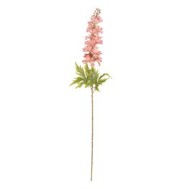Haste Delphinium 87cm - Rosa Velho