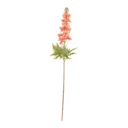 Haste Delphinium 87cm - Laranja