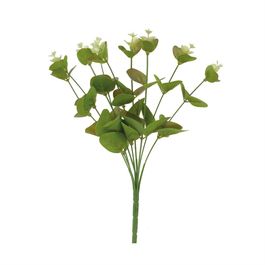 Buque Eucalipto 32cm - Verde