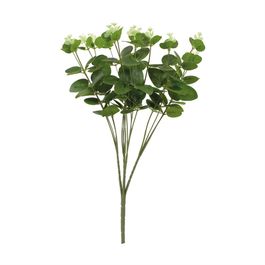 Buque Eucalipto 45cm - Verde