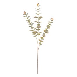 Haste Eucalipto 78cm - Verde / Laranja