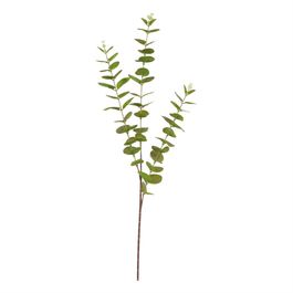 Haste Eucalipto 78cm - Verde Outono