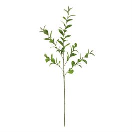 Haste Eucalipto 80cm - Verde