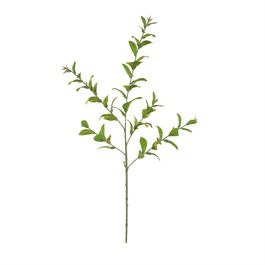 Haste Eucalipto 80cm - Verde Outono