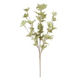 Buque Folhagem X1 80cm - Verde Outono