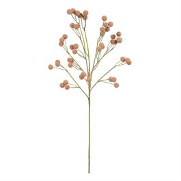 Galho Sementes X1 60cm - Ocre