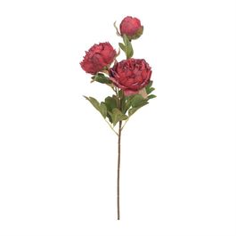 Haste Peônia X3 53cm - Marsala