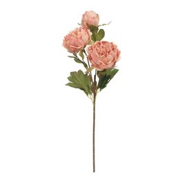 Haste Peônia X3 53cm - Rosa Velho