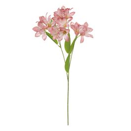 Haste Lírio X16 54cm - Rosa Velho