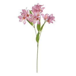 Haste Lírio X16 54cm - Fucsia